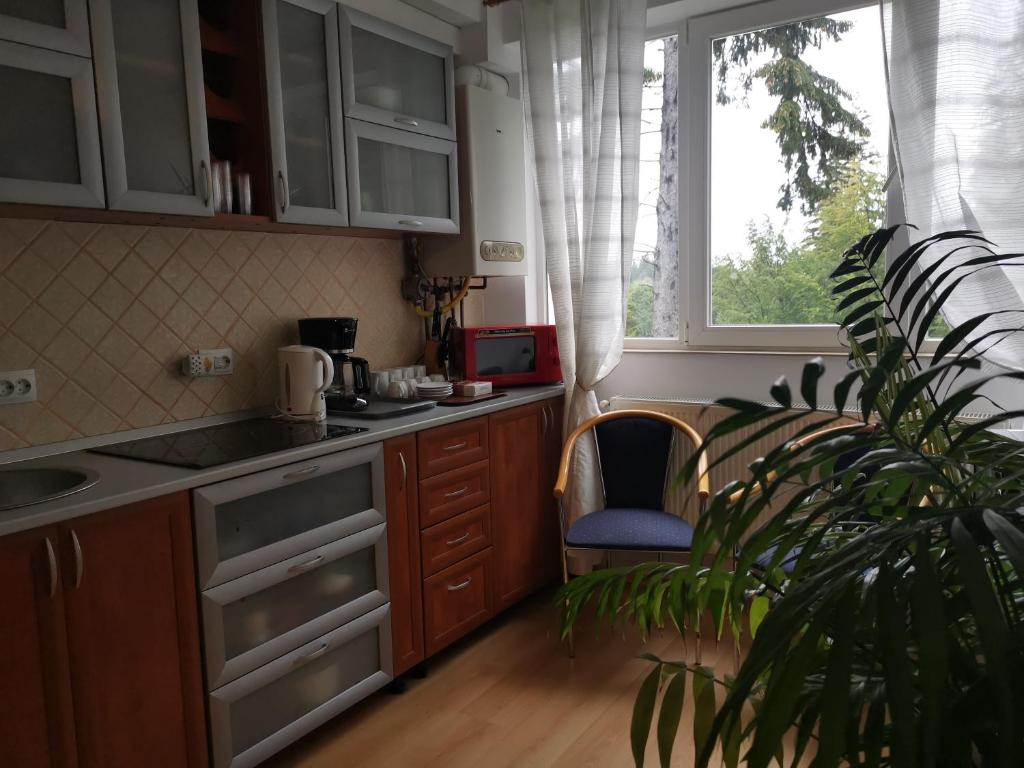 Ett kök eller pentry på Apartament Ana Poiana Brasov