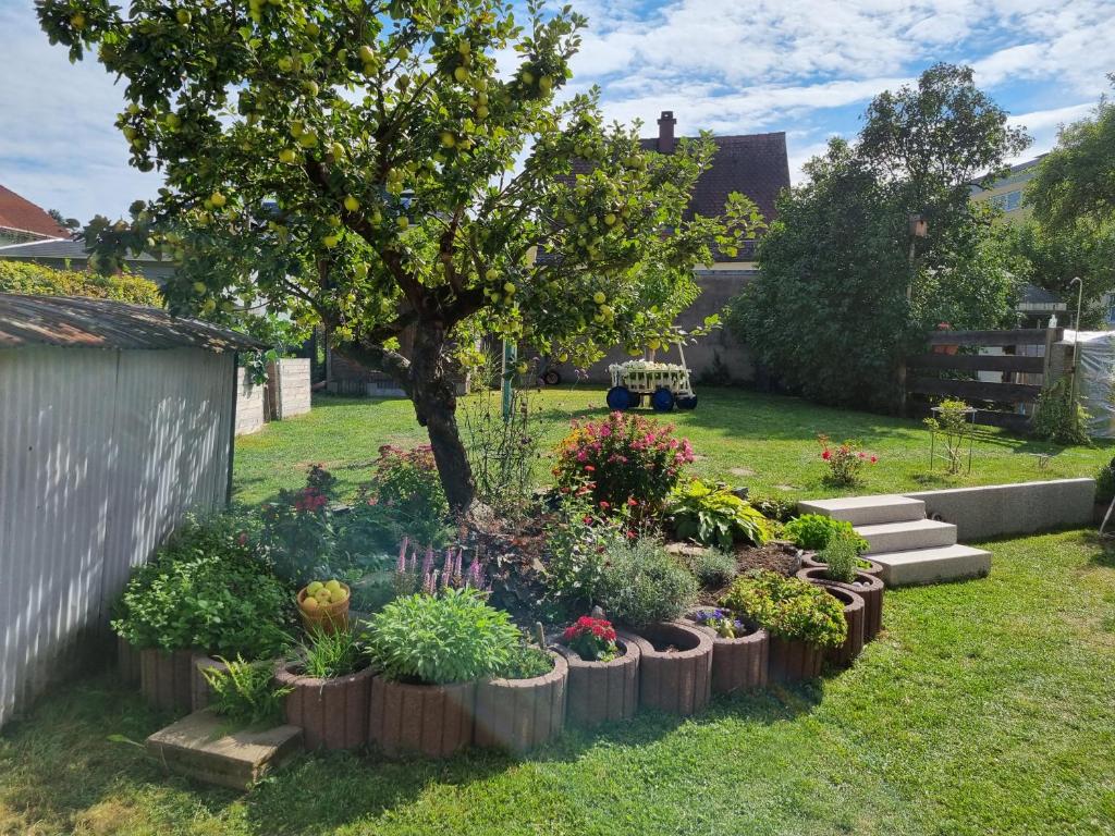 Taman di luar (Ferien-)Wohnung im schönen Fichtelgebirge