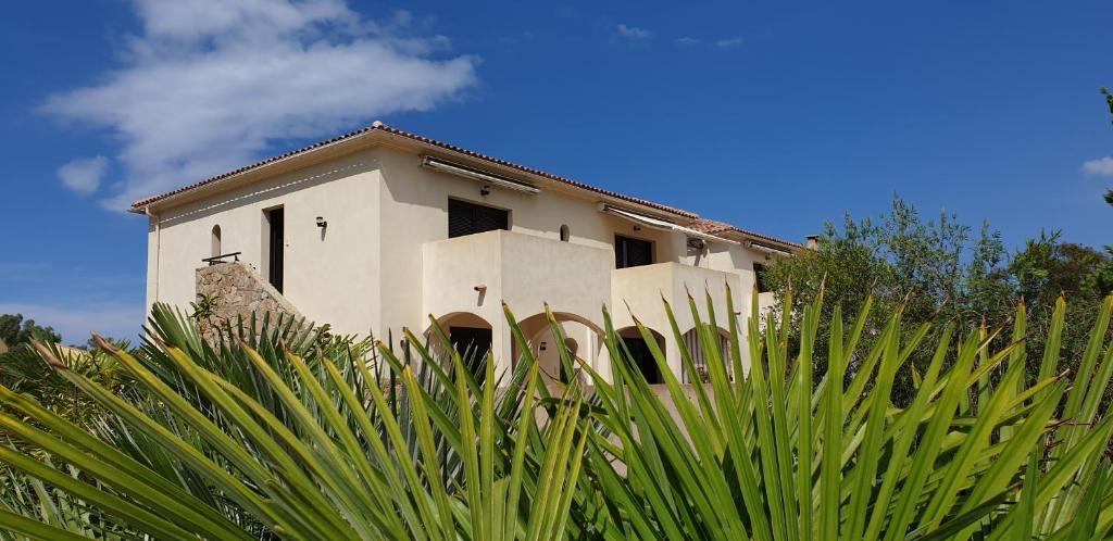 Uma casa branca com muitas plantas à frente. em Très bel appartement,proche plage et centre ville. em Calvi