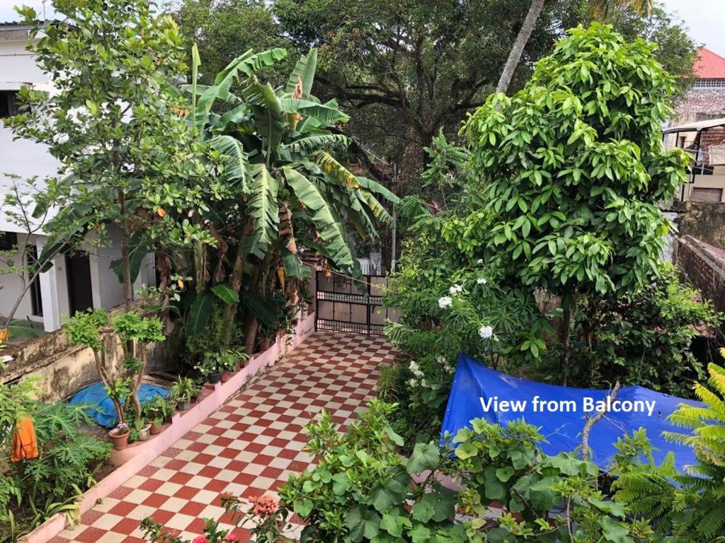 Kebun di luar Sithara Homestay Fort Cochin