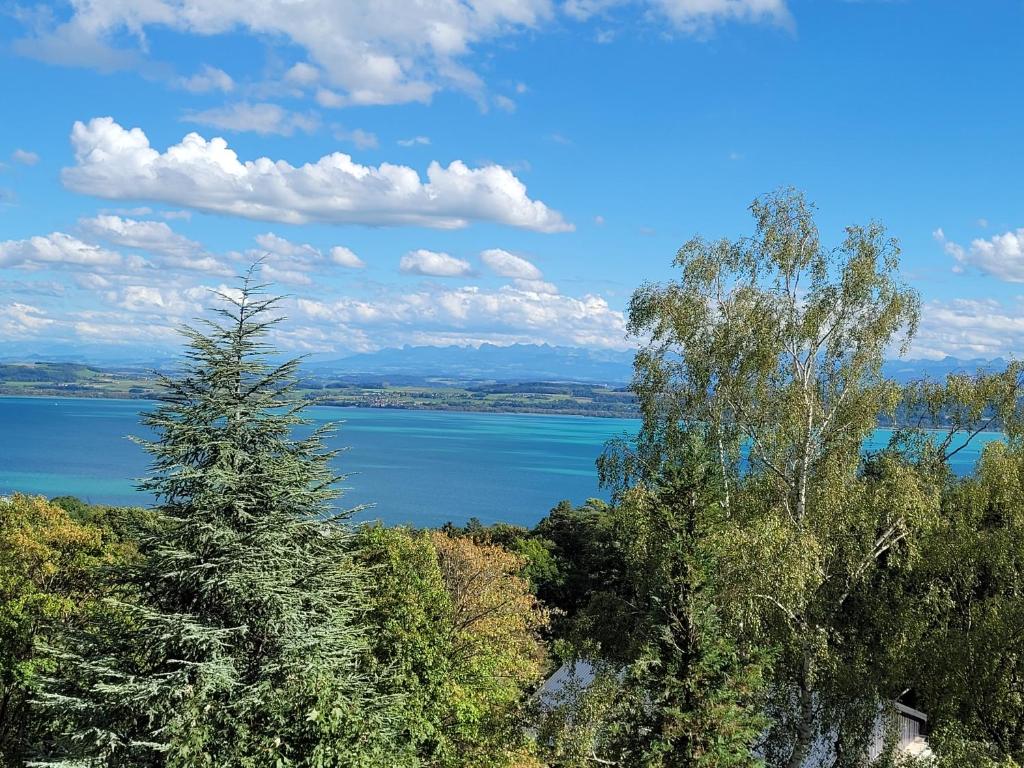 vista su una grande cassa d'acqua con alberi di 3-bedroom apartment with spectacular view a Neuchâtel