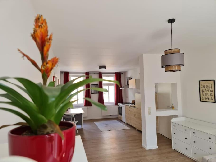 Una cocina o kitchenette en Cityappartement am Bauhaus-Museum