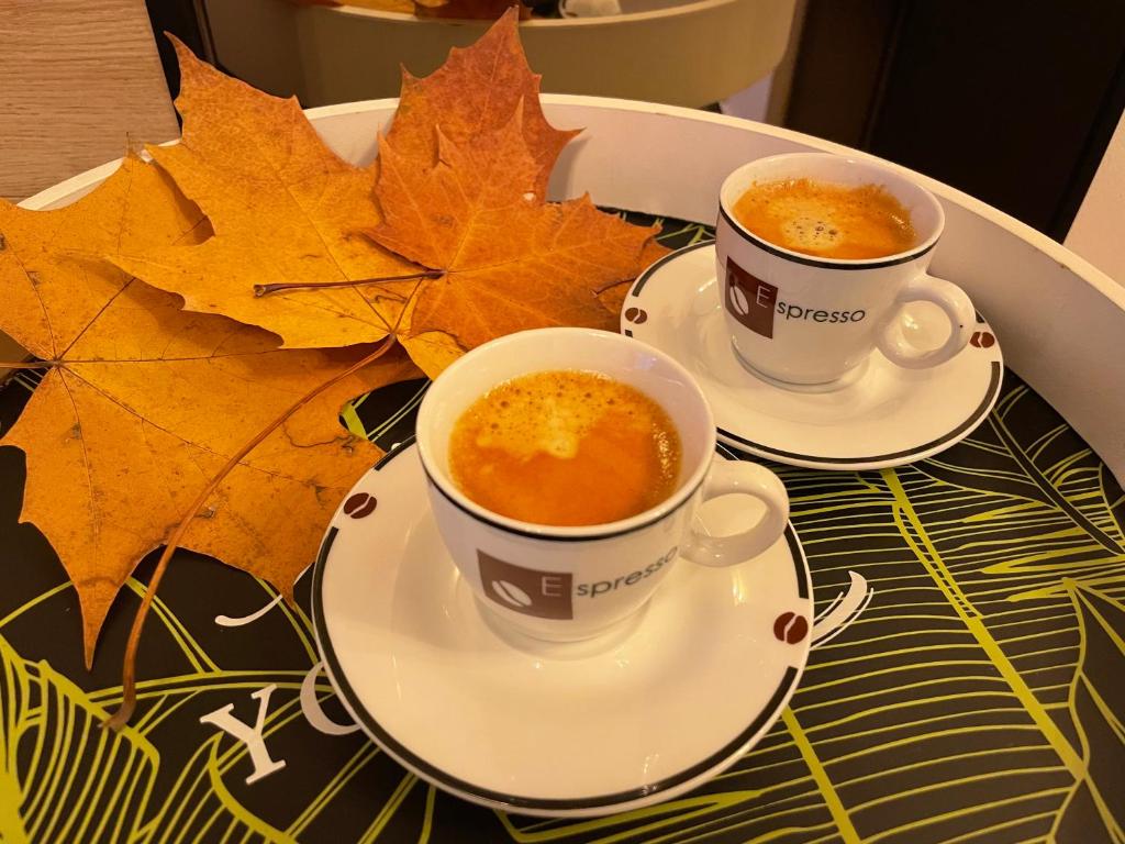 twee kopjes koffie op borden op een tafel met bladeren bij Apartament Loftowy Wypoczynek GoldAir in Poznań