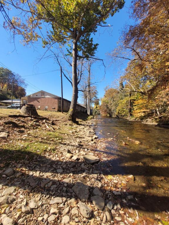 un arbre sur le côté d'une rivière dans l'établissement Economy Inn Sylva, à Sylva