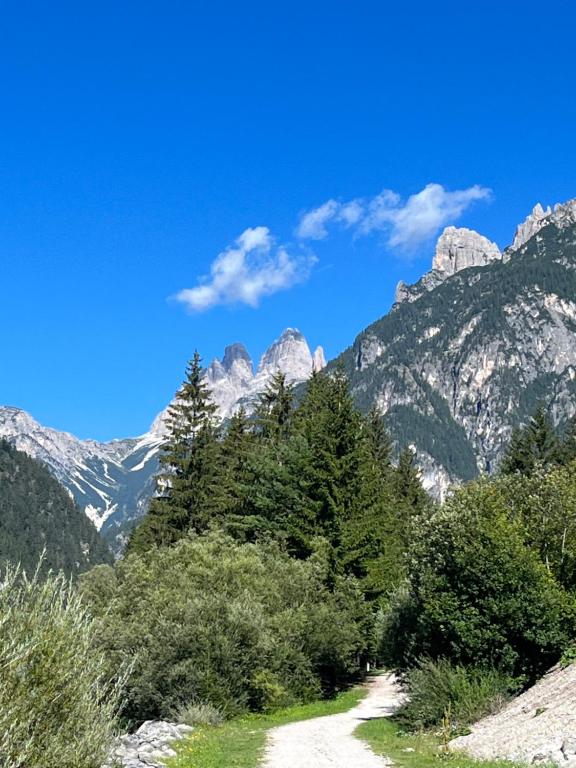 un chemin de terre avec des arbres et des montagnes en arrière-plan dans l'établissement Ciasa Giulia, à Auronzo di Cadore