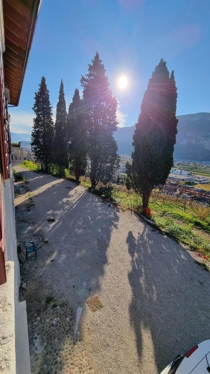 uma estrada com árvores e o sol à distância em Maso kreuzberg- Monolocale 3- vista montagne em Trento