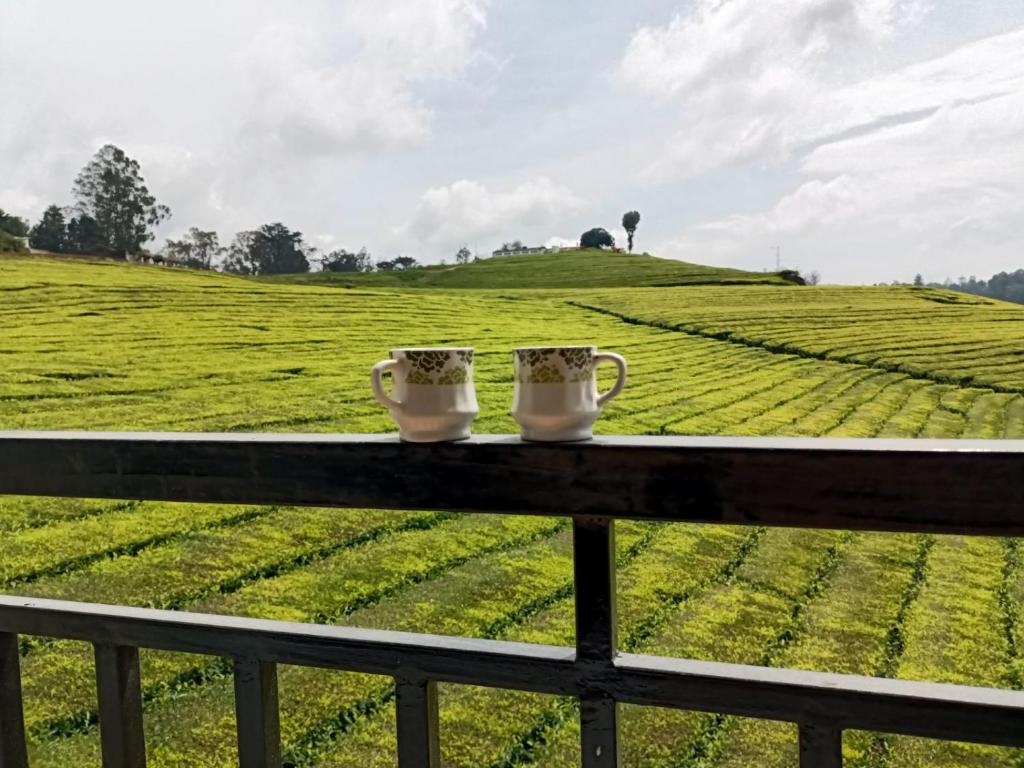 twee koffiemokken die op een hek naar een veld kijken bij Tea Estate view stay in Ooty