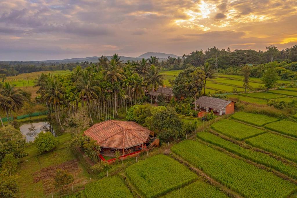 an aerial view of a house in a rice field at StayVista at Firefly By The River with Breakfast in Kushālnagar