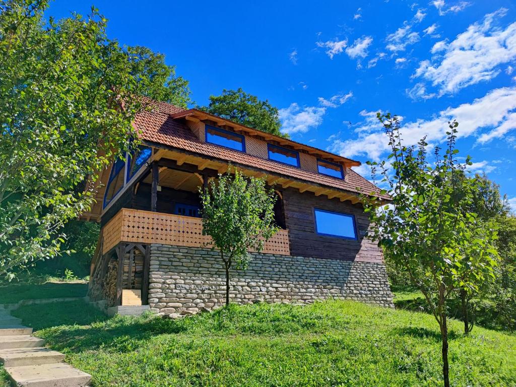 een stenen huis met een dak op een groen veld bij La sat - Radu Dragu in Bertea