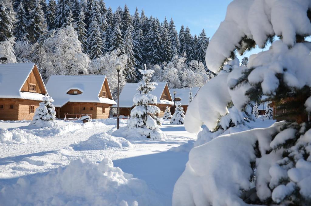 Hotel****Liptovský dvor durante o inverno