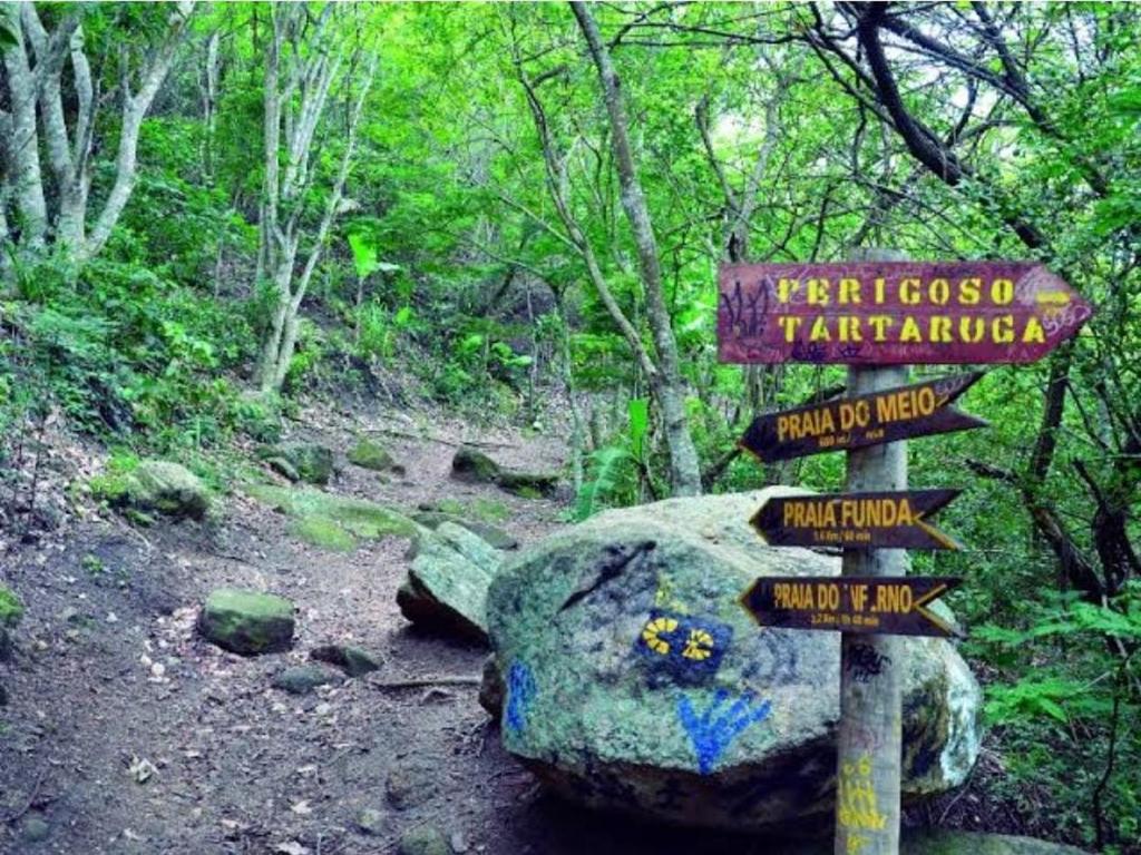 a trail sign in the middle of a forest at Pé nas trilhas in Rio de Janeiro