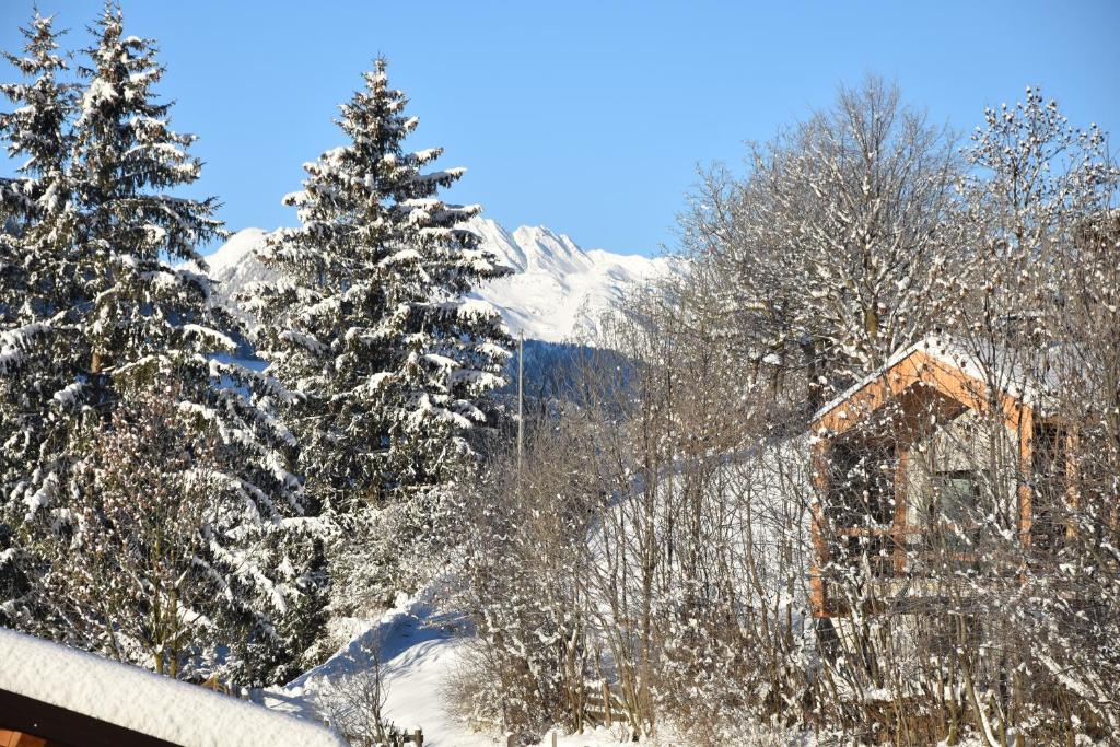 カンポ・ディ・トレンスにあるChalet & Appartement Zingerlehof Trensの雪山家