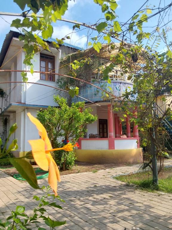 dom z żółtym kwiatem przed nim w obiekcie Johnson's Homestay - Ecohouseboat w mieście Alappuzha