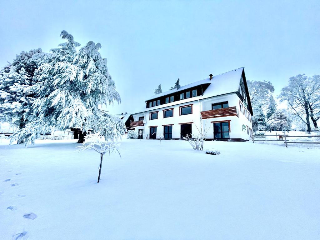 a snow covered yard with a house and a tree at Berghotel Hohegeiß in Hohegeiß