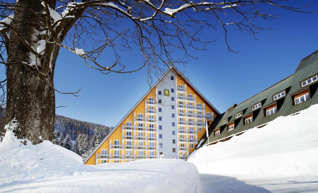 什平德莱鲁夫姆林Pinia Hotel & Resort的树旁的大雪地建筑