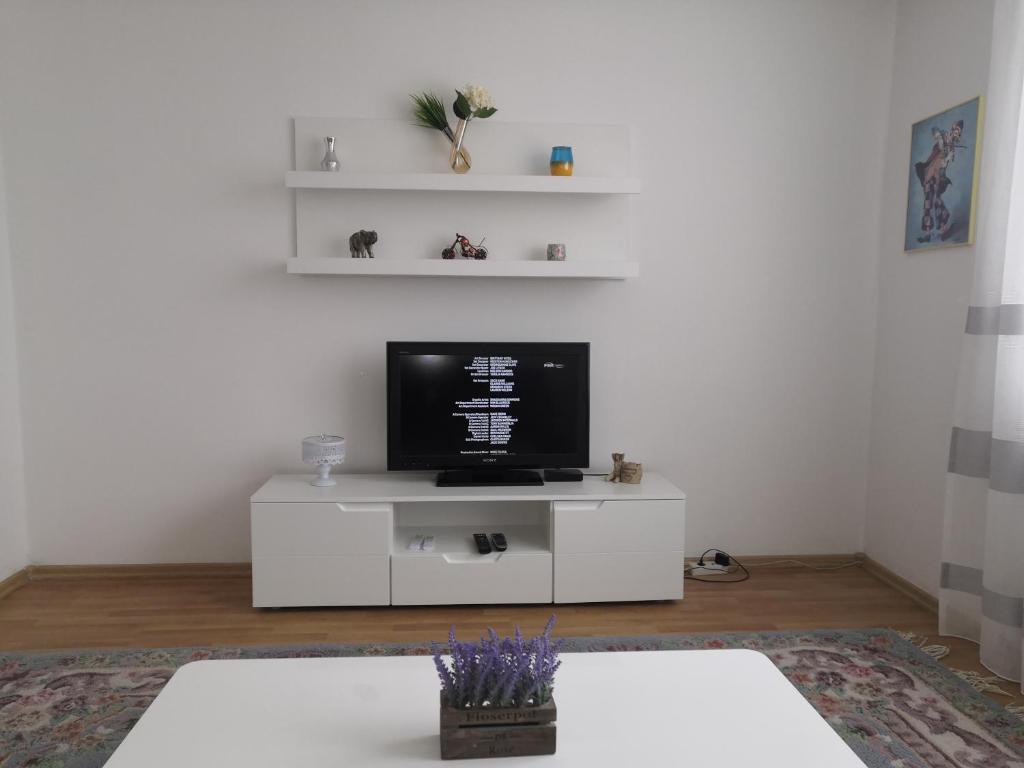 Apartman Deni TV 또는 엔터테인먼트 센터