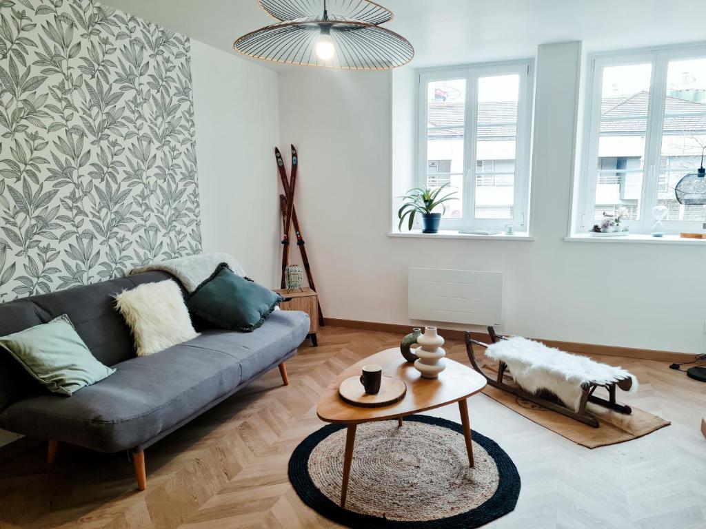 Domácí mazlíčci ubytovaní s hosty v ubytování Les Marmottons appartement cosy