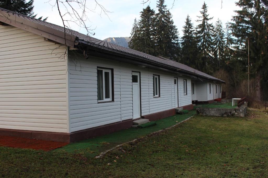 a side view of a house with a yard at Pensiunea Martinel in Timisu de Sus