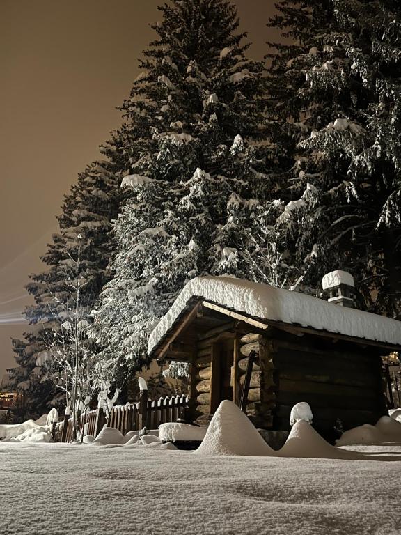 a cabin covered in snow next to a christmas tree at Chalet Blanc "Le Flocon" in Courmayeur