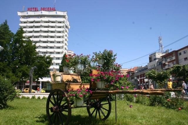 Zahrada ubytování Hotel Decebal