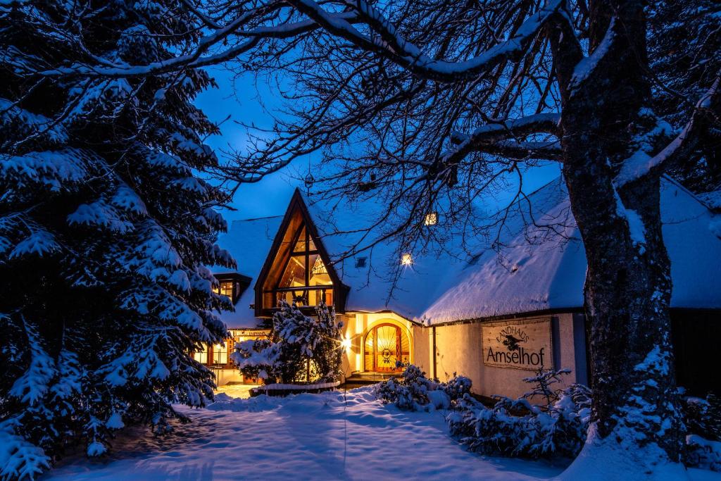 ヒンターツァルテンにあるLandhaus Amselhof Hinterzartenの夜の雪家