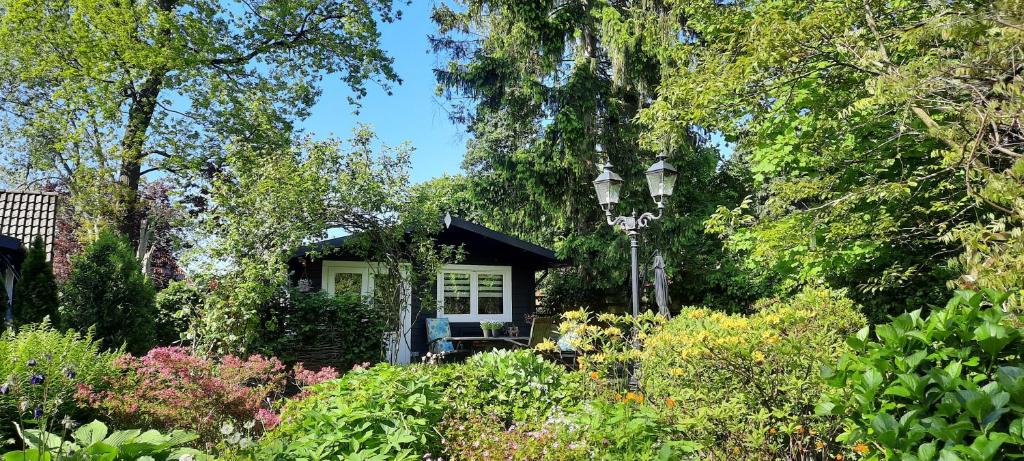 una pequeña casa en medio de un jardín en GUESTHOUSE in een mooie tuin in het centrum van Zuidlaren!, en Zuidlaren