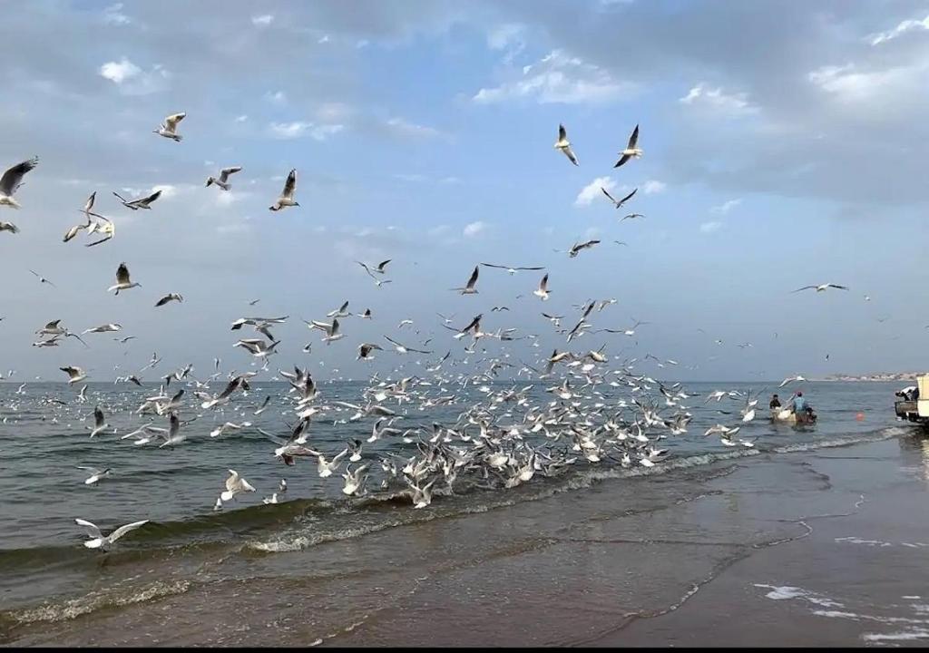 Φυσικό τοπίο κοντά σε αυτό το δωμάτιο σε οικογενειακή κατοικία