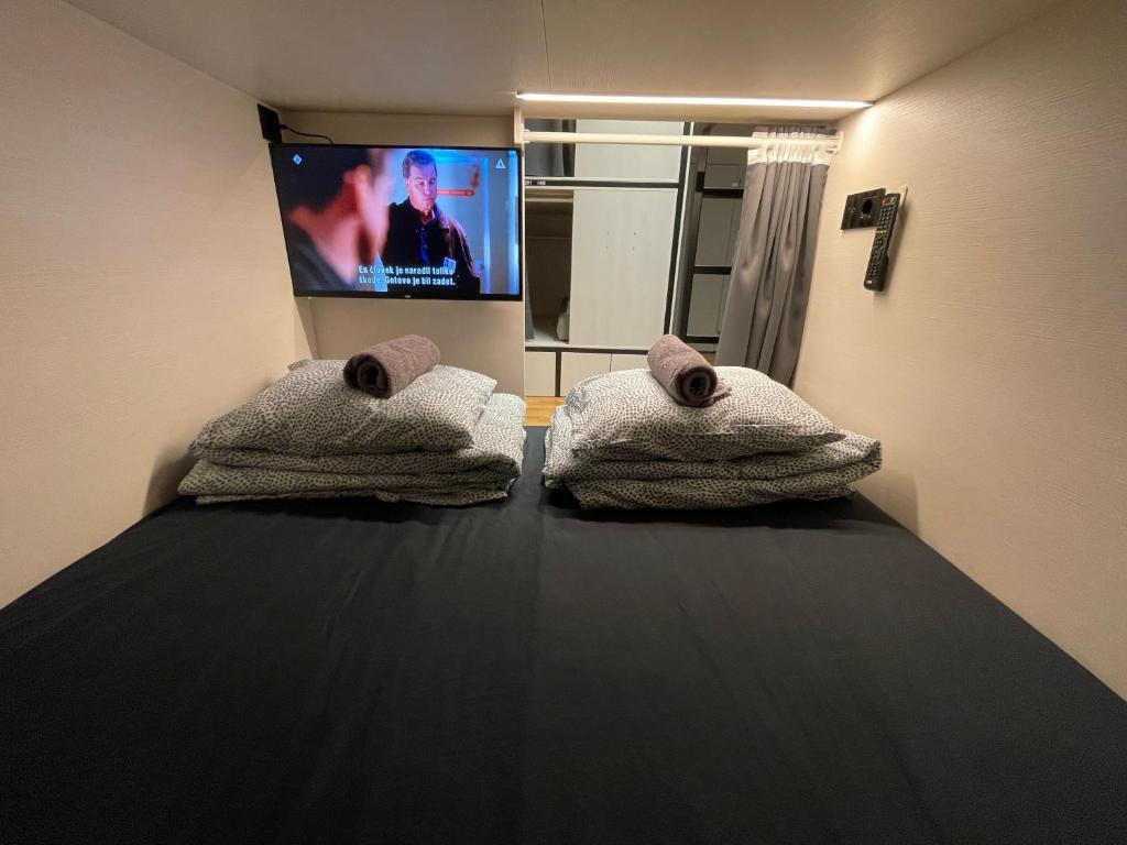 sypialnia z łóżkiem i telewizorem z płaskim ekranem w obiekcie Sleep&Go Hostel Ljubljana w Lublanie