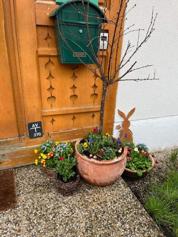 un groupe de fleurs en pots à côté d'une porte dans l'établissement Appartement Emilia, à Hallstatt