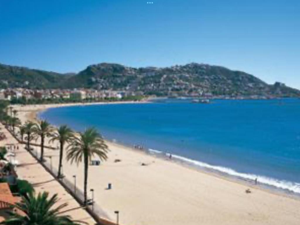 a view of a beach with palm trees and the ocean at BEL APPARTEMENT ROSES PLAGE in Roses