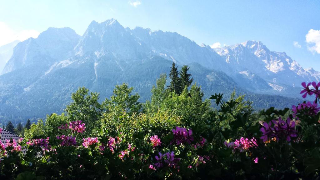 - une vue sur les montagnes avec des fleurs au premier plan dans l'établissement Landhaus Steinbrech, à Grainau