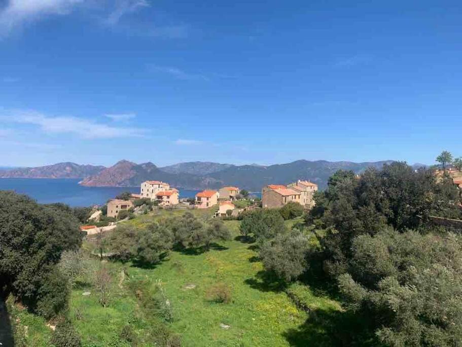 un grupo de casas en una colina junto a un cuerpo de agua en Appartement de standing piana, en Piana