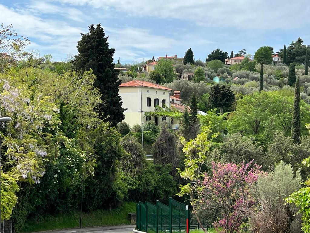 un edificio en medio de un bosque de árboles en VISTA del MAR, en Piran