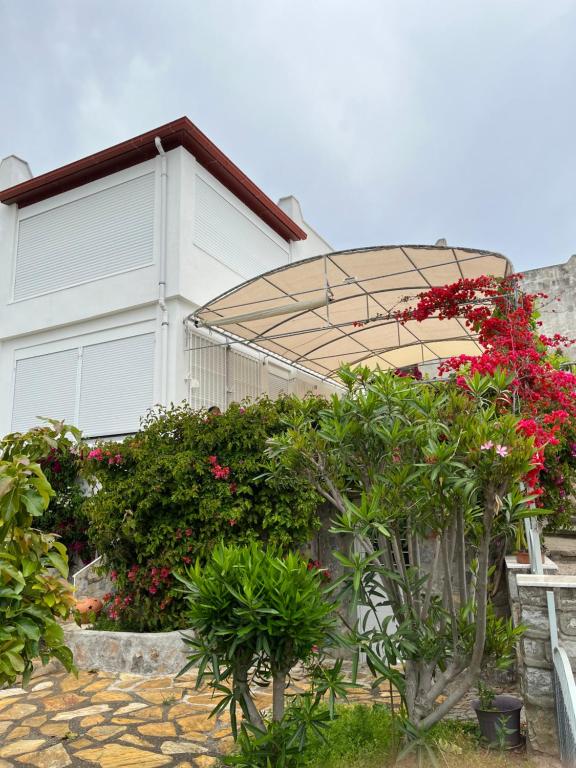 Сад в Villa Bella Vista - near the Beach and AirPort