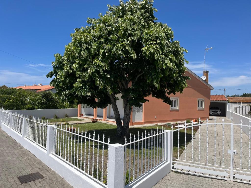 een wit hek met een boom voor een huis bij Moradia alegre no centro da Vila da Tocha. in Tocha