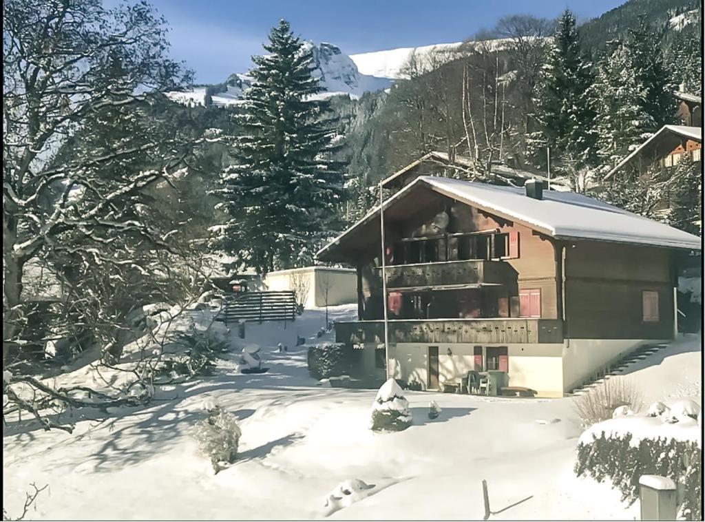 Bussalp Apartment - Aare Jungfrau AG зимой