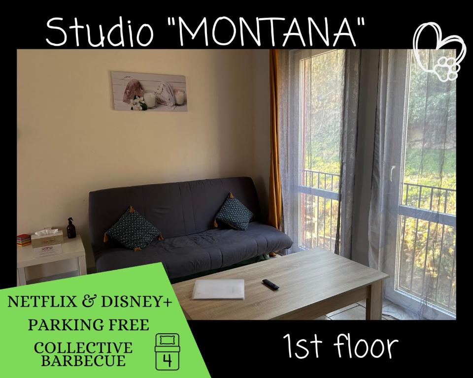 - un salon avec un canapé et une table basse dans l'établissement Ô Reflets - L'Arizona Dinant - Studio 2 beds - Garden, Free Parking, Dog ok, à Dinant