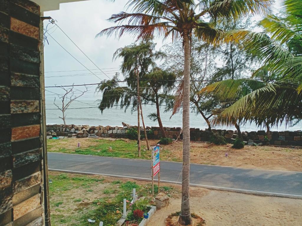 a palm tree on the side of a road at ENOCEAN HOMESTAY in Cherai Beach