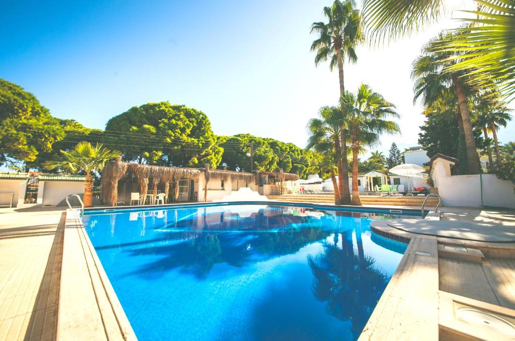 - une piscine avec des palmiers et de l'eau bleue dans l'établissement Hotel PINE BAY CLUB, à Kyrenia