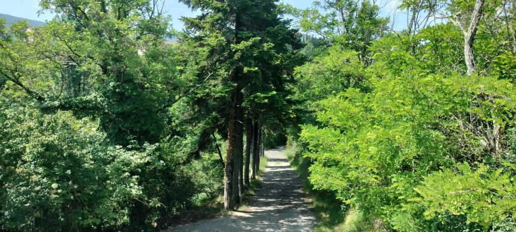 La bergerie d'Annie في بريفاس: طريق ترابي اشجار من الجهتين