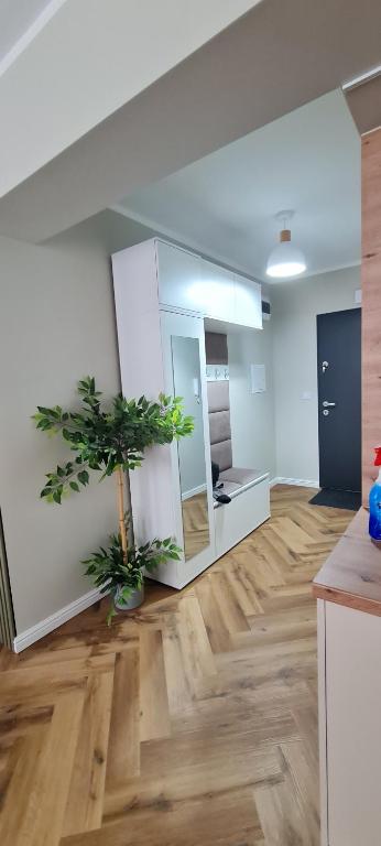 ein Wohnzimmer mit einer Pflanze in der Mitte eines Raumes in der Unterkunft Mazovia Gold Apartament 101 in Płock