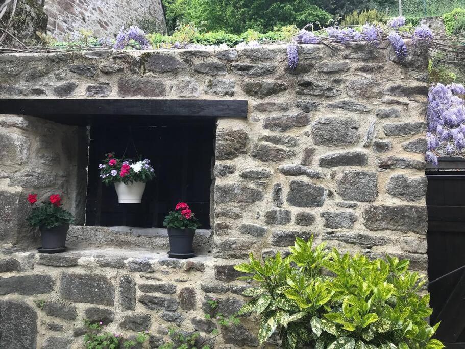 un mur en pierre avec deux fleurs en pot dans une fenêtre dans l'établissement Maison Médiévale, à Dinan