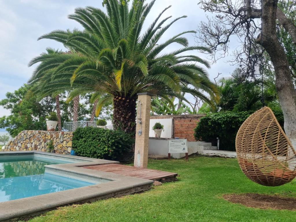 una palma in un cortile accanto a una piscina di Hotel La Ribereña a Ajijic