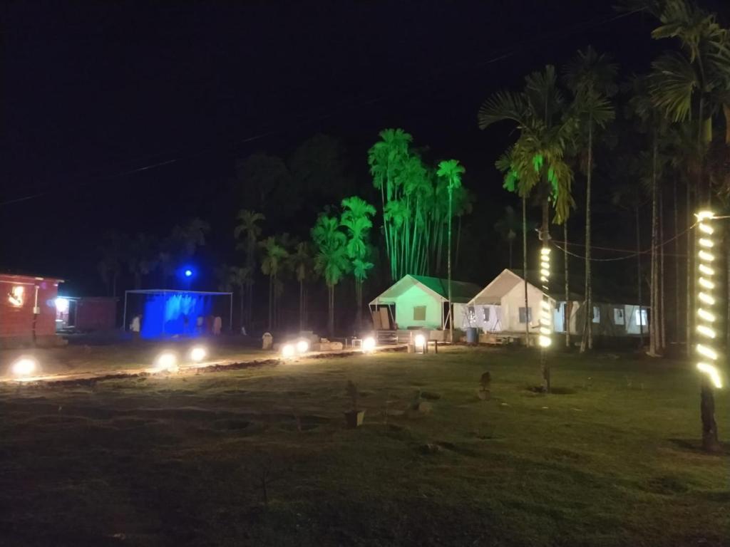 a group of houses at night with lights at Trident Jungle Stay in Dandeli