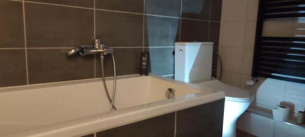 Un baño de Apartmán Radim