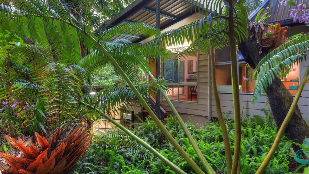 een huis met een bos planten ervoor bij Chambers Wildlife Rainforest Lodges in Lake Eacham