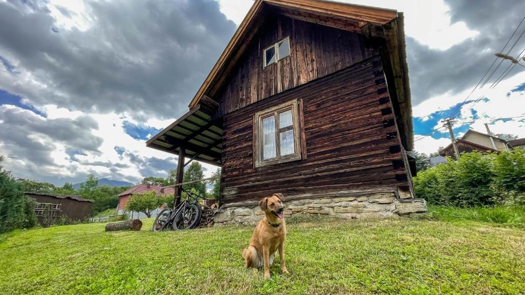 Husdjur som bor med gäster på Drevenica JURsport Dúbrava