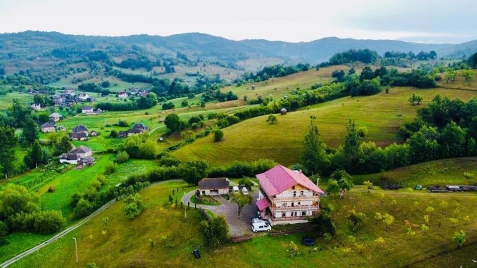 een luchtzicht op een huis in een groen veld bij PENSIUNEA PLAI STRABUN in Strîmtura