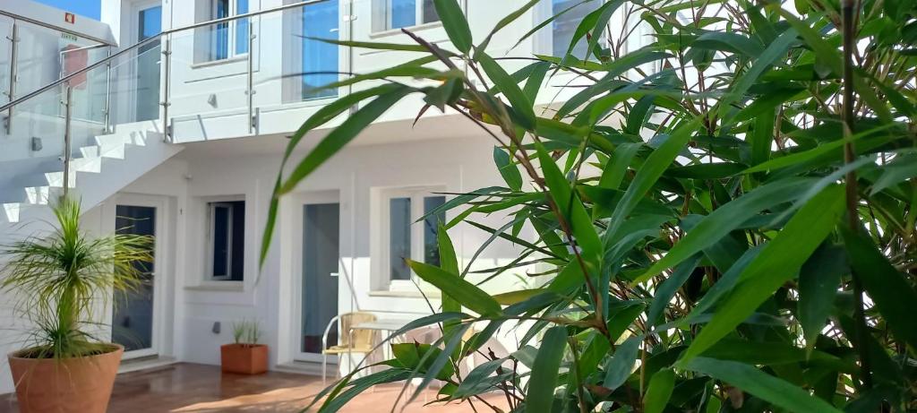 a white house with green plants in front of it at Apartamentos Naturalis in Vila Nova de Milfontes