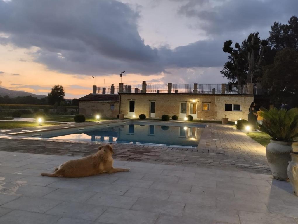 The swimming pool at or close to Agriturismo Tenuta Filippi